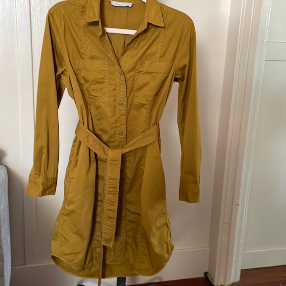 Everlane The Modern Utility Shirt Dress